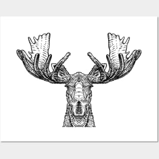 MOOSE in black and white Posters and Art